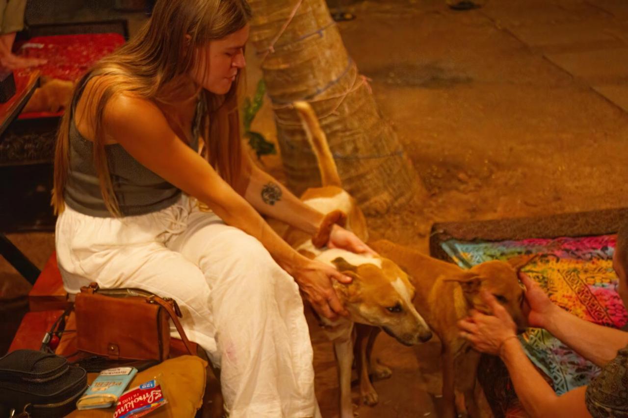 Spirithouse Hostel Arambol Kültér fotó